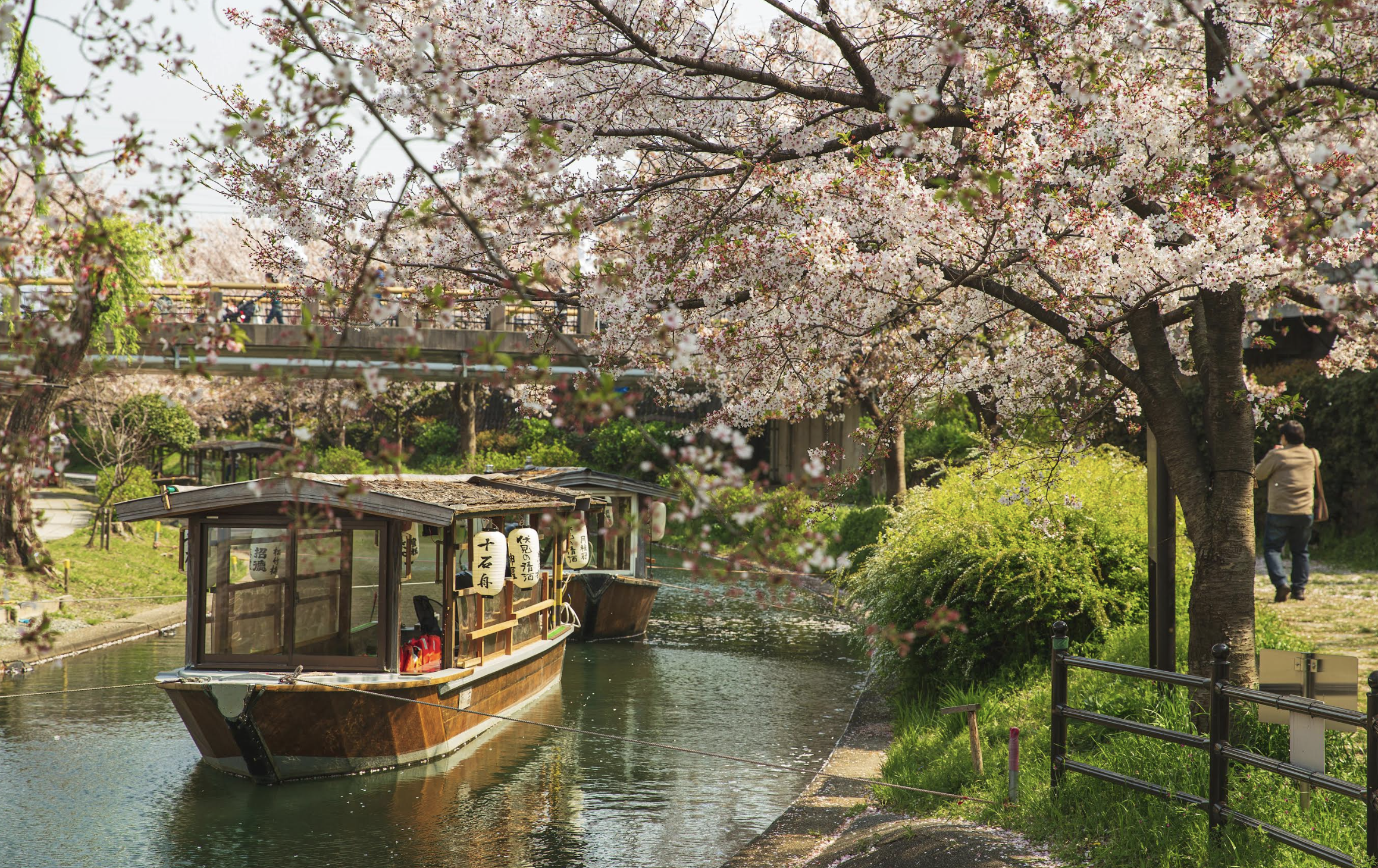 Kyoto